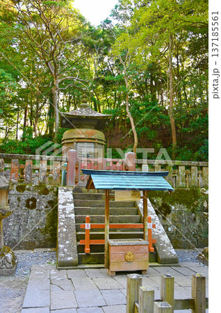 久能山東照宮　神廟　静岡市 137185561