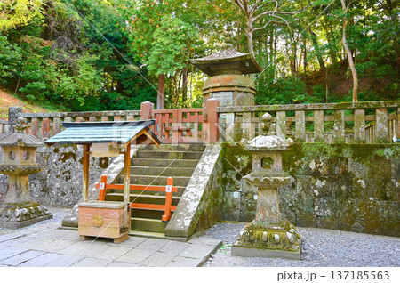 久能山東照宮　神廟　静岡市 137185563