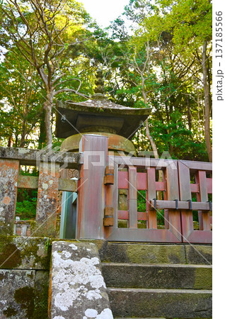 久能山東照宮　神廟　静岡市 137185566