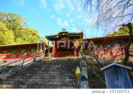 久能山東照宮 唐門 静岡市 久能山東照宮 唐門 静岡市 137185751