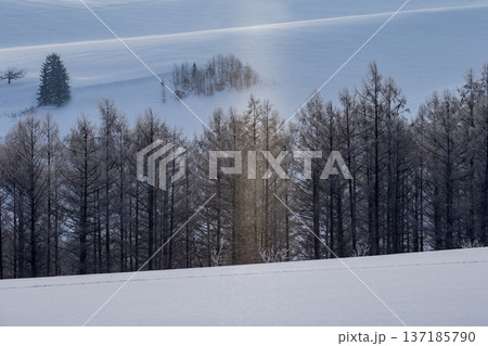 絶景の白銀世界 137185790