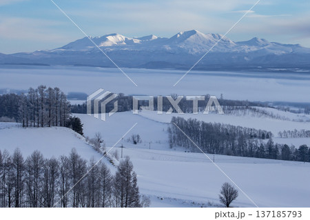 絶景の白銀世界 137185793