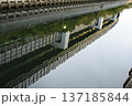 川面に映る 137185844