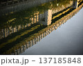 水面に映る 137185848