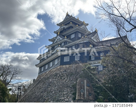 岡山城の天守閣 137185849
