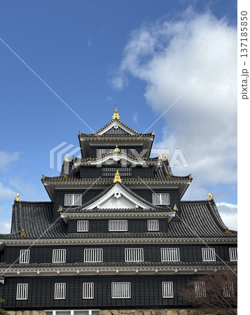 岡山城の天守閣 137185850