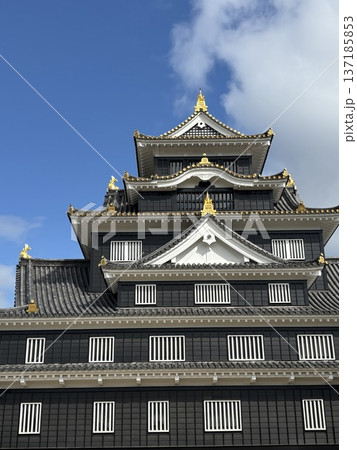 岡山城の天守閣 137185853
