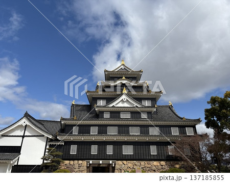 岡山城の天守閣 岡山城の天守閣 137185855