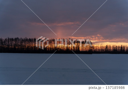 朝焼けの雪原大地 137185986