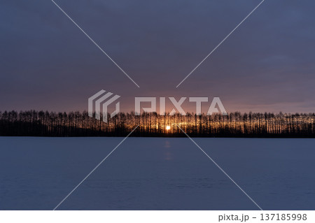 朝焼けの雪原大地 137185998