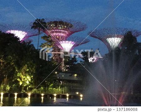 幻想的に輝くスーパーツリーのナイトショー 137186008