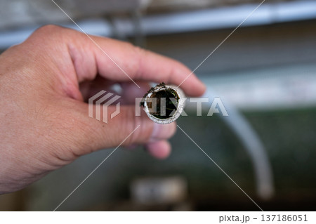 室外機のドレンホースの中が汚い 137186051