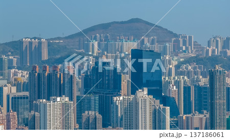Expansive East Kowloon skyline rises across dense urban valley Feb 13 2026 137186061