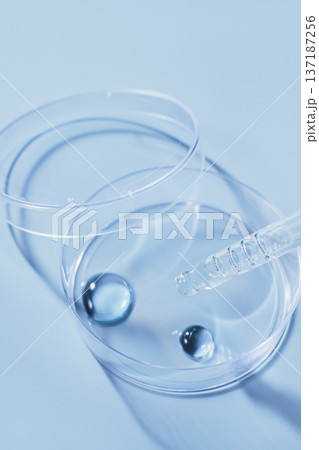 Pipette dripping clear liquid drops into clear petri dish on blue background Pipette dripping clear liquid drops into clear petri dish on blue background 137187256