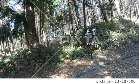 陣馬形山 登山道 陣馬形山 登山道 137187506