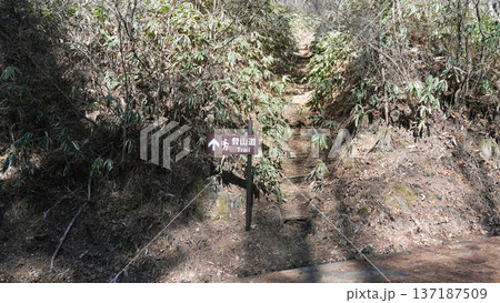 陣馬形山　登山道 137187509