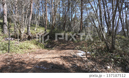 陣馬形山　登山道 137187512
