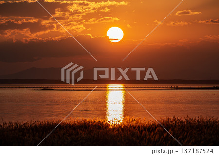 野付湾の夕日 野付湾の夕日 137187524