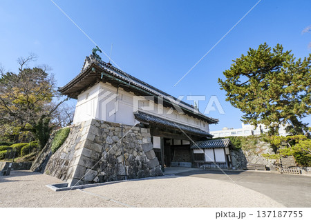 国の重要文化財にも指定されている佐賀城鯱の門 国の重要文化財にも指定されている佐賀城鯱の門 137187755