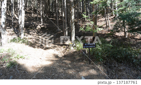 陣馬形山 登山道 陣馬形山 登山道 137187761