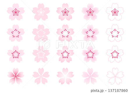アレンジして使える桜の花の素材セット、白い透過背景、アイコン、ベクターイラスト アレンジして使える桜の花の素材セット、白い透過背景、アイコン、ベクターイラスト 137187860