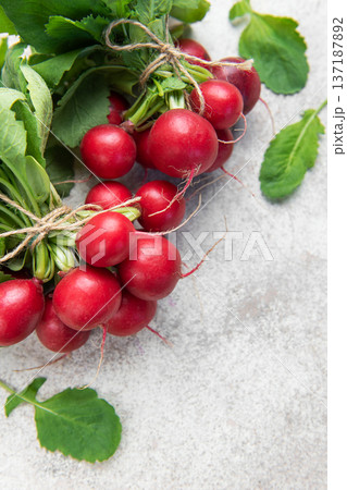 Fresh radishes bunch with green leaves on light background Fresh radishes bunch with green leaves on light background 137187892