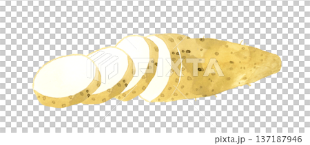 輪切りにした長芋　野菜の手描き水彩イラスト素材 137187946