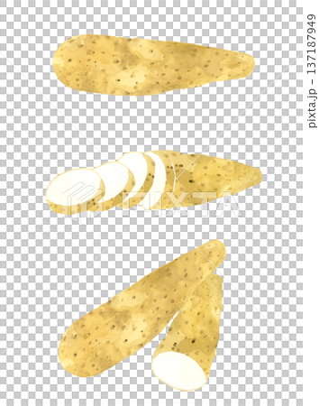 長芋のセット 野菜の手描き水彩イラスト素材 長芋のセット 野菜の手描き水彩イラスト素材 137187949