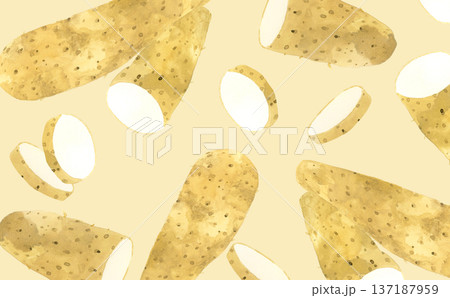 長芋の手描き水彩イラストの背景素材 137187959