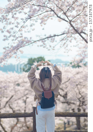 Woman tourist sightseeing Sakura Cherry Blossom in Spring. Happy traveler travel at Saigyo Modoshi no Matsu over Matsushima Bay in Matsushima, Miyagi Prefecture, Japan. Famous Landmark and Vacation Woman tourist sightseeing Sakura Cherry Blossom in Spring. Happy traveler travel at Saigyo Modoshi no Matsu over Matsushima Bay in Matsushima, Miyagi Prefecture, Japan. Famous Landmark and Vacation 137187978