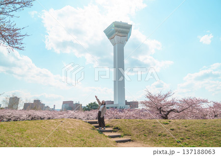 Woman tourist sightseeing Goryokaku Tower park with Sakura Cherry Blossom in Spring, happy traveler travel in Hakodate city, Hokkaido, Japan. famous Landmark, Japan Travel and Vacation destination 137188063