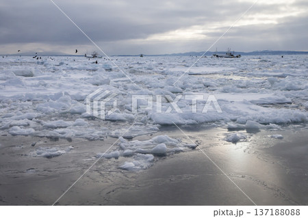 流氷接岸 137188088