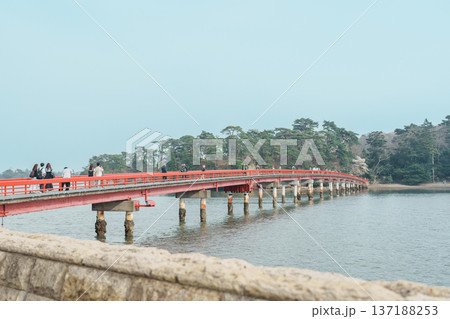 Fukuura jima bridge or the bridge of romantic encounters for Fukuura Island at Matsushima Bay in Matsushima, Miyagi Prefecture, Tohoku, Japan. Landmark and famous Vacation 137188253