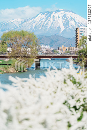 Beautiful Iwate mountain and Kitakami river with flowers blooming in Spring season, cityscape against blue sky in Morioka city, Iwate prefecture, Japan. famous Landmark Travel and Vacation destination 137188297