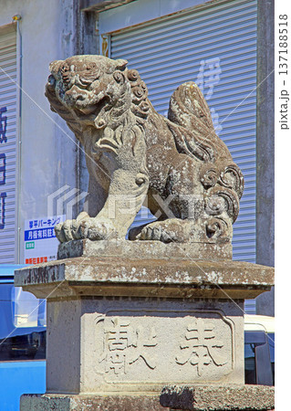 富士浅間・金刀比羅宮(松本) 富士浅間・金刀比羅宮(松本) 137188518