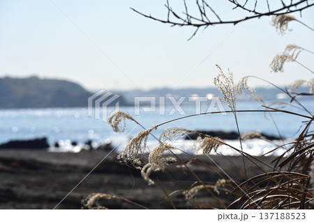 長浜海岸 137188523