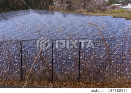 太陽光発電 137188553