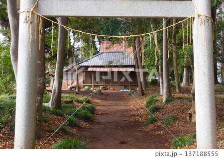 千葉県柏市香取神社周辺2026年2月 137188555