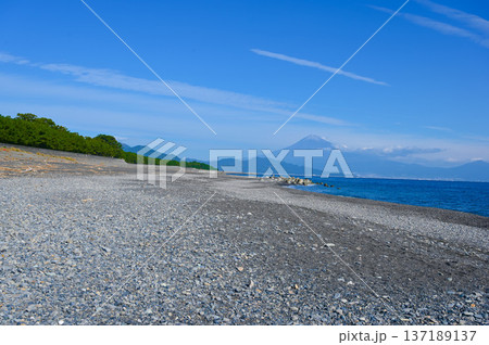 三保の松原　静岡市 137189137