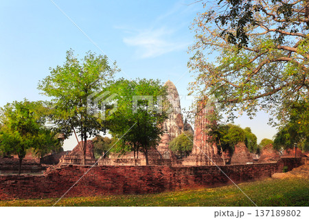 Wat Mahathat, Ayutthaya Historical Park, Thailand, Southeast Asia. Picturesque scene with old thai buddhist temple, stupa ruin, Ayutthaya, old capital of Siam kingdom. Topic of vacation, travel, trip 137189802
