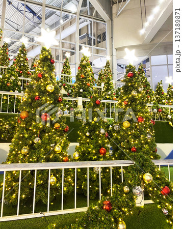Festively decorated Christmas trees adorned with colorful ornaments and twinkling lights create a joyful atmosphere in a modern indoor space, celebrating the holiday spirit Festively decorated Christmas trees adorned with colorful ornaments and twinkling lights create a joyful atmosphere in a modern indoor space, celebrating the holiday spirit 137189871