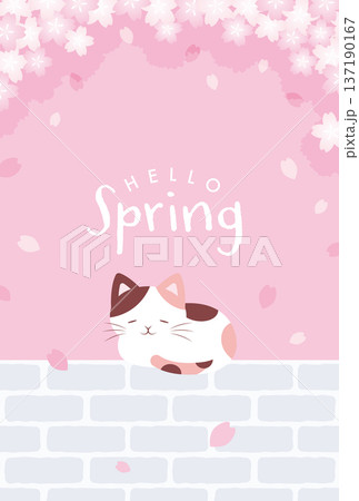 桜の花と煉瓦の壁の上で眠る猫の背景イラスト 137190167
