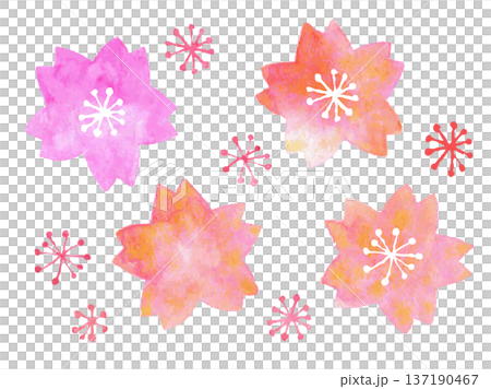 Watercolor cherry blossom gradient icon Watercolor cherry blossom gradient icon 137190467