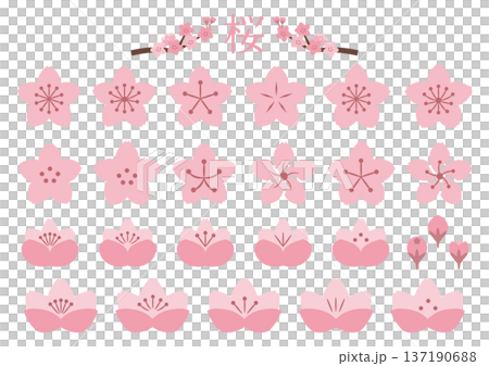 桜の花アイコンセット 137190688