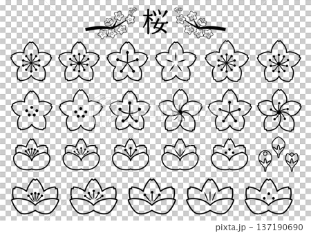 桜の花アイコンセット 線画 桜の花アイコンセット 線画 137190690