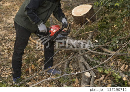 チェーンソーで木を伐採するミドル男性作業員手元 137190712