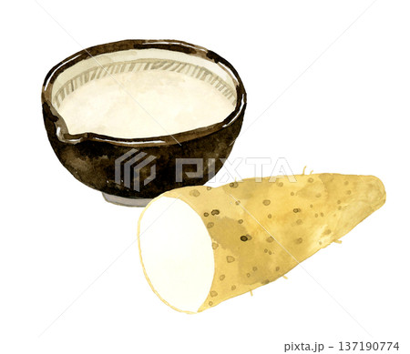 すり鉢に入ったとろろと、半分にカットした長芋　手描き水彩イラスト素材 137190774