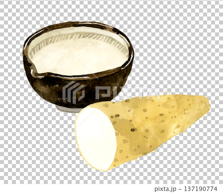 すり鉢に入ったとろろと、半分にカットした長芋　手描き水彩イラスト素材 137190774