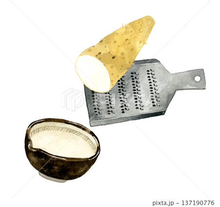 長芋・おろし金・すり鉢のセット　手描き水彩イラスト素材 137190776