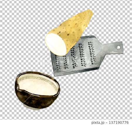 長芋・おろし金・すり鉢のセット　手描き水彩イラスト素材 137190776